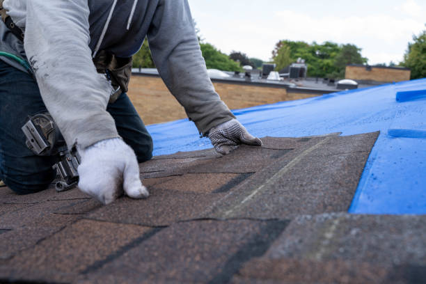 Best Storm Damage Roof Repair  in Cody, WY
