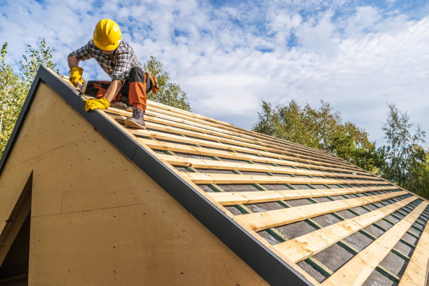 Best Roof Repair Services  in Cody, WY