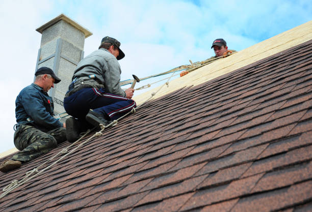 Best Flat Roof Repair Services  in Cody, WY
